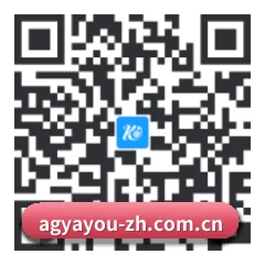 Android APP 二维码